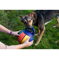 GiGwi 'Jumball ' Basketball Ball With Rubber Handle For Medium/Large Dogs