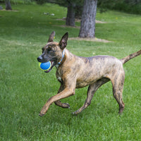 Kong Ultra Squeaker AirBall