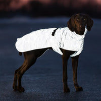 Trixie Lunas Raincoat, Reflective, Small 40cm, Silver Blue