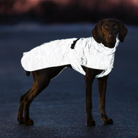 Trixie Lunas Raincoat, Reflective, Small 40cm, Silver Blue