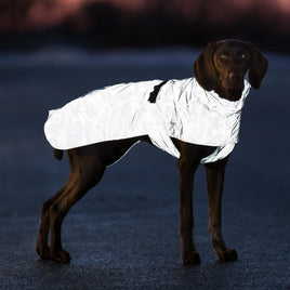 Trixie Lunas Raincoat, Reflective, Small 40cm, Silver Blue