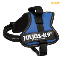 Julius-K9® PowerHarness Mini-Mini 40-53cm