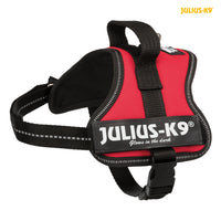 Julius-K9® PowerHarness Mini-Mini 40-53cm