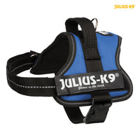 Julius-K9® Powerharness Mini 51-67cm