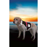 Trixie Flashing Reflective Water & Wind Resistant Dog Safety Vest - Three Sizes