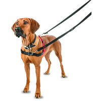 Halti Front Control Harness Black