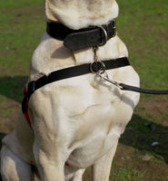 Halti Front Control Harness Black