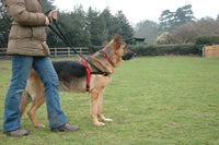 Halti Front Control Harness Black