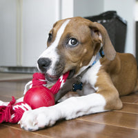 Kong Rubber Ball On Rope Small