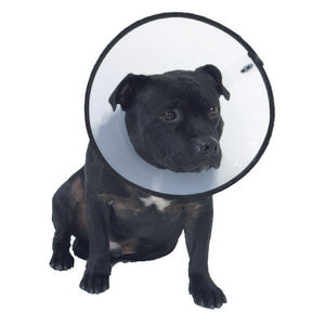 Transparent Dog Vet Elizabethan Cone Collar Wound Healing Brace 5 Sizes