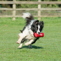 Company Of Animals Clix Nylon Training Dummy