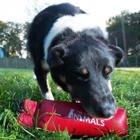 Company Of Animals Clix Nylon Training Dummy