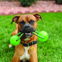 Kong Squeezz Ball With Handle
