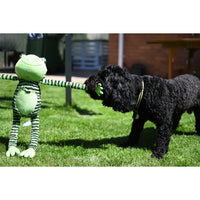 Rosewood Chubleez Froggy Long Legs Dog Toy 52cm