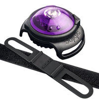 Orbiloc Dog Safety Light Collar Clip Flash Night Walking Waterproof High Vis New