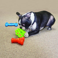 Kong Quest Star Pods Small
