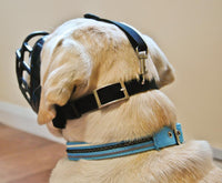 Baskerville Ultra Adjustable Dog Muzzle - Basket Style Training