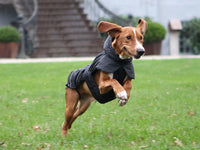 Trixie Prime Winter Coat Black/grey