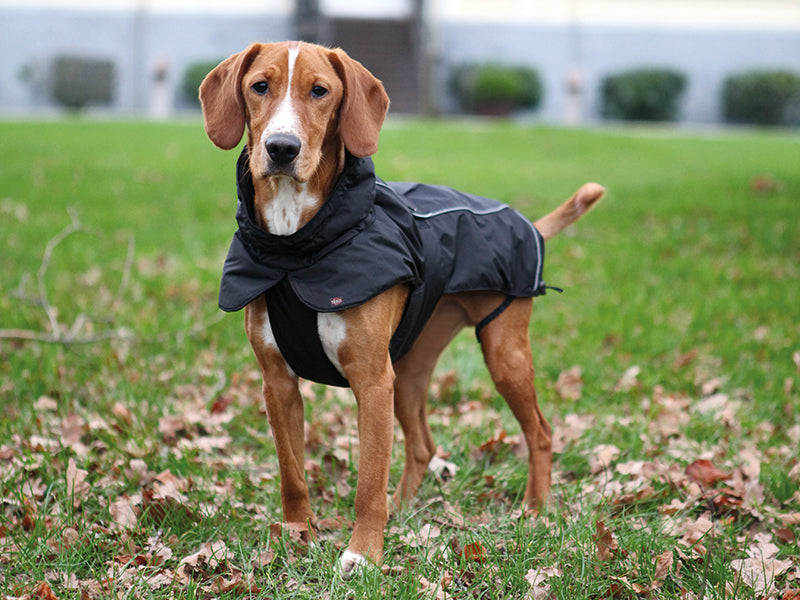 Trixie coat 2025