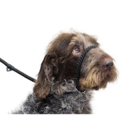 Ancol Dog Rope Slip & Control Lead Combination Black 12mm x 1m (50kg)