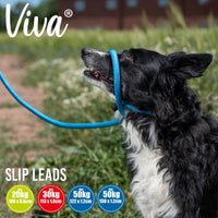 Ancol Viva Rope Slip Lead Reflective 1.5m X 8mm (20kg)