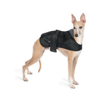 Ancol Hound Dog Coats Whippet Greyhound Black - Three Sizes