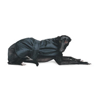 Ancol Hound Dog Coats Whippet Greyhound Black - Three Sizes