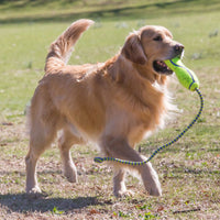 Kong Air Fetch Stick On Rope
