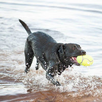 Kong Air Squeaker Dumbbell