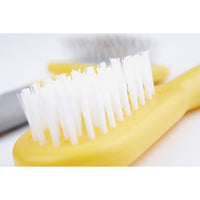 Ancol Small Animal Bristle Brush