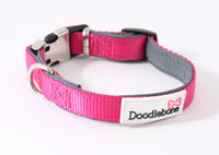 Doodlebone Bold Padded Collar