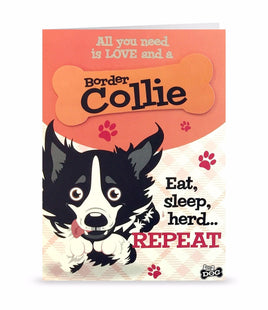Dog Greeting Birthday Card Border Collie