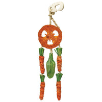 Boredom Breaker Carrot Dream Catcher for Small Animals