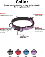 CoA Halti Collar - Black, Red, Blue, Purple