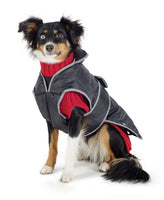 Ancol 3/1 Combo Sweater & Raincoat Black/Red Large 50cm 18" Spaniel Beagle