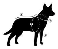 Hurtta Extreme Warmer Lingon Winter Dog Coat