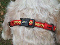 Dogmatic Padded Head Collar - stop your dog pulling