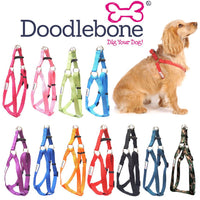 Doodlebone Bold Nylon Dog Puppy Harness