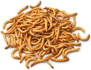 Mealworm 125g