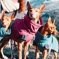 Hurtta Expedition Parka, Winter Dog Coat - 12 Sizes - 3 Colours