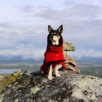 Hurtta Extreme Warmer Lingon Winter Dog Coat