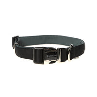 Doodlebone Bold Padded Collar