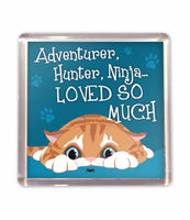 Cat Fridge Magnet Cat Lovers Gift Stocking Filler