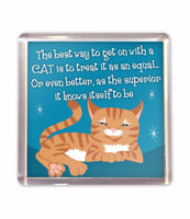 Cat Fridge Magnet Cat Lovers Gift Stocking Filler