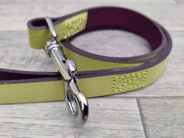 Ancol Indulgence Leather Lead Lime Green Grape Sz 2-7 1m X19mm