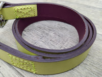 Ancol Indulgence Leather Lead Lime Green Grape Sz 2-7 1m X19mm