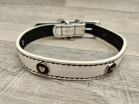 Rosewood Wag N Walk Designer Collar Mono Large 16-20"