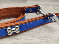 Rosewood Wag N Walk Designer Lead Royal Blue 3/4" X 40"