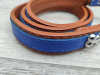 Rosewood Wag N Walk Designer Lead Royal Blue 3/4" X 40"