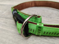 Nobby Soft Grip Dog Collar, 50-65 Cm/25 Mm, Light Green/Brown